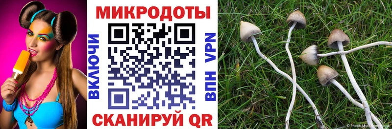 наркошоп  Бавлы  Псилоцибиновые грибы Psilocybe 